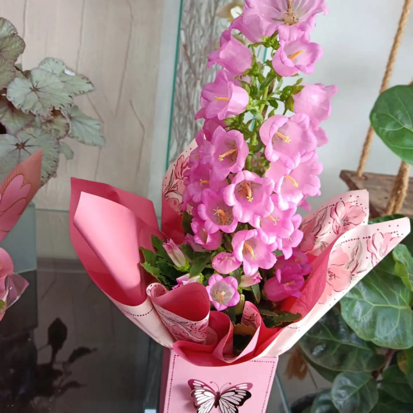 Campânulas rosas em caixa decorada com borboleta