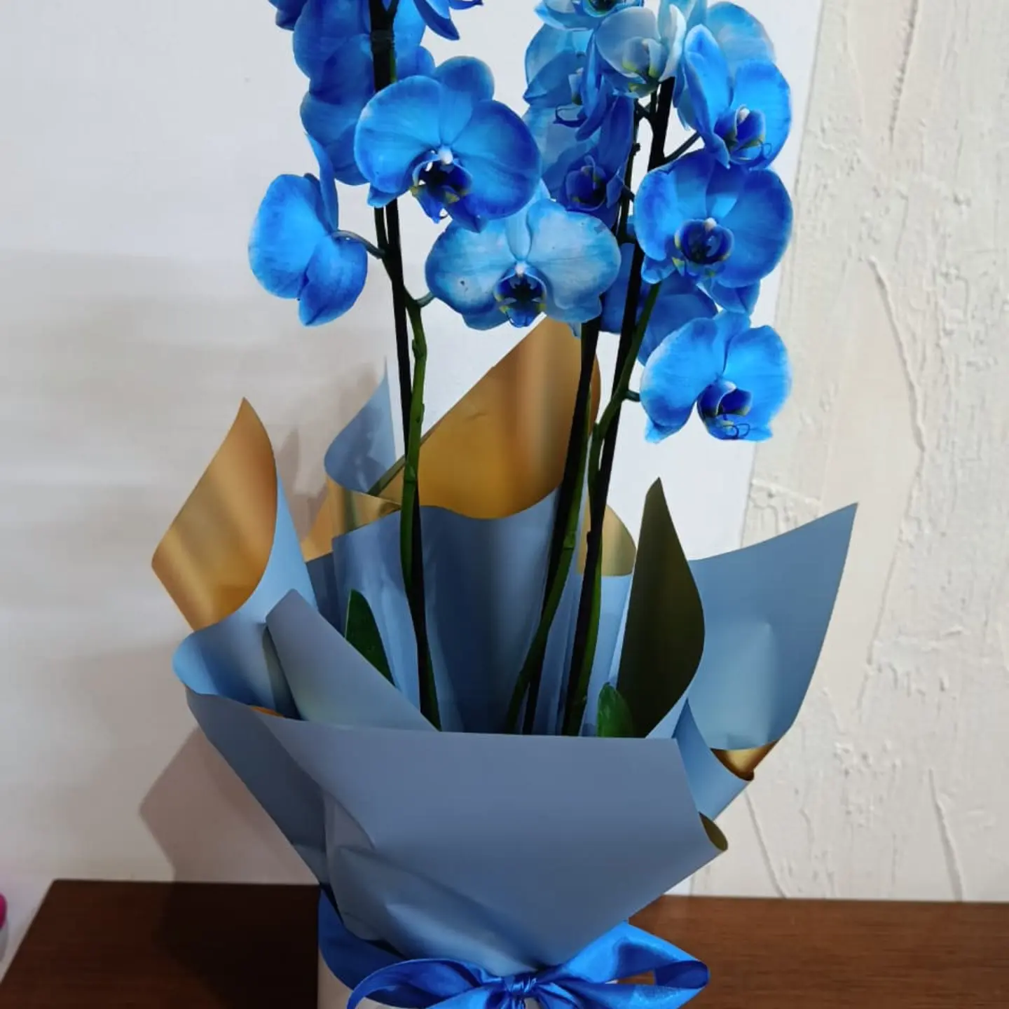 Orquídea azul em embalagem azul e dourada