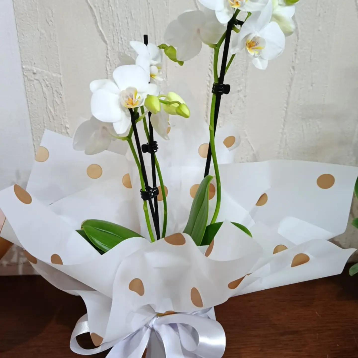 Orquídeas brancas em embalagem branca com detalhes dourados