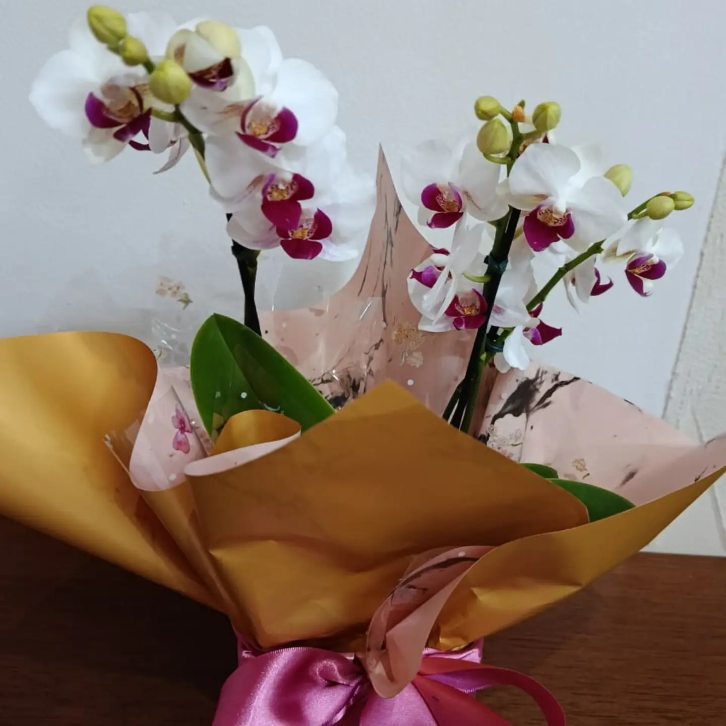 Orquídea branca e vinho em embalagem rosa e dourada